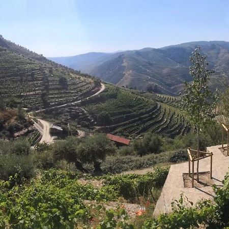 Quinta Das Fontainhas - Douro Valley Villa Tabuaço Exteriör bild