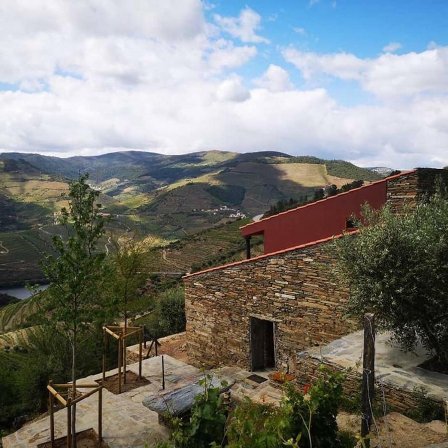 Quinta Das Fontainhas - Douro Valley Villa Tabuaço Exteriör bild