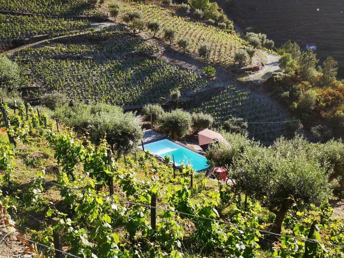Quinta Das Fontainhas - Douro Valley Villa Tabuaço Exteriör bild