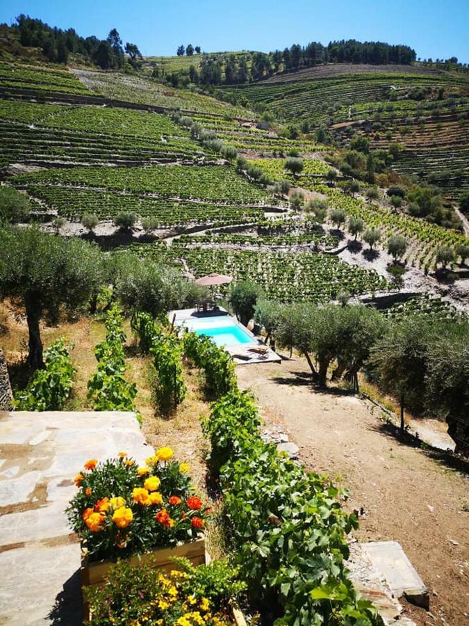 Quinta Das Fontainhas - Douro Valley Villa Tabuaço Exteriör bild