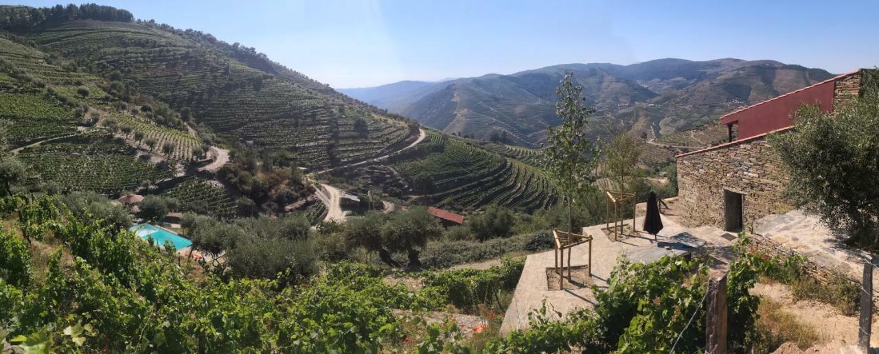 Quinta Das Fontainhas - Douro Valley Villa Tabuaço Exteriör bild