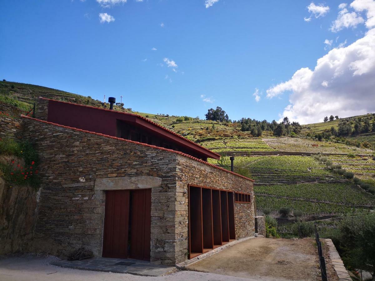 Quinta Das Fontainhas - Douro Valley Villa Tabuaço Exteriör bild
