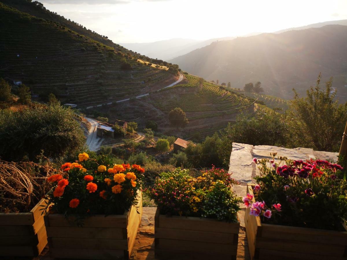 Quinta Das Fontainhas - Douro Valley Villa Tabuaço Exteriör bild