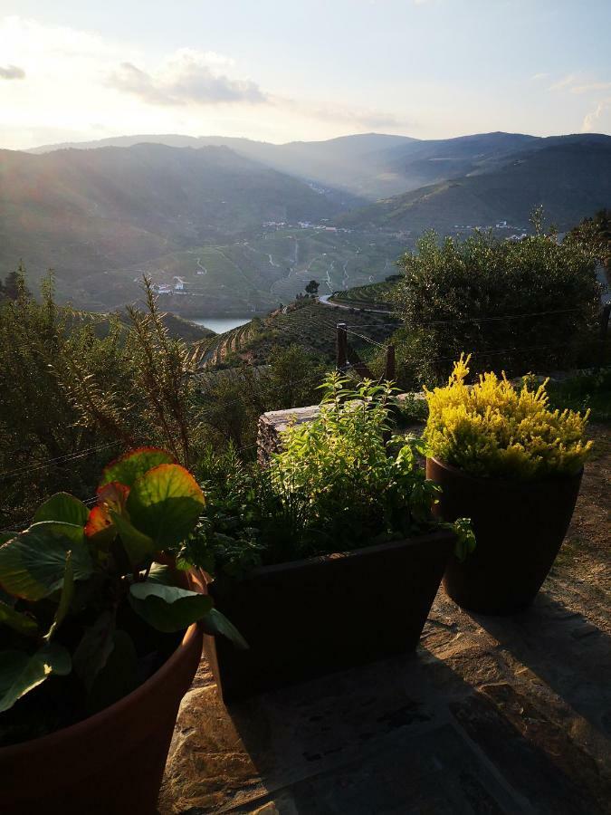 Quinta Das Fontainhas - Douro Valley Villa Tabuaço Exteriör bild